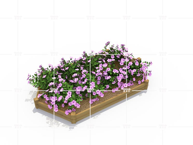 種植區(qū)